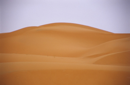 Edge of the Sahara