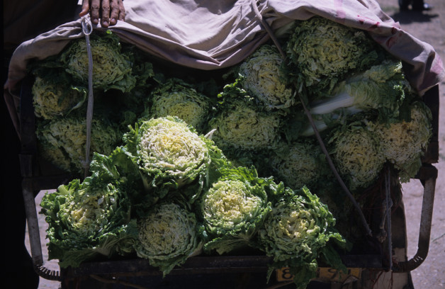 Cabbage for Sale at Kashgar Markets