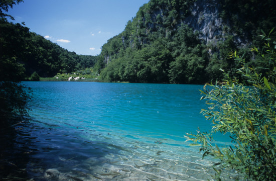 Shores of Plitvice Lakes