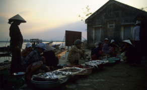 Fish Market in Hội An