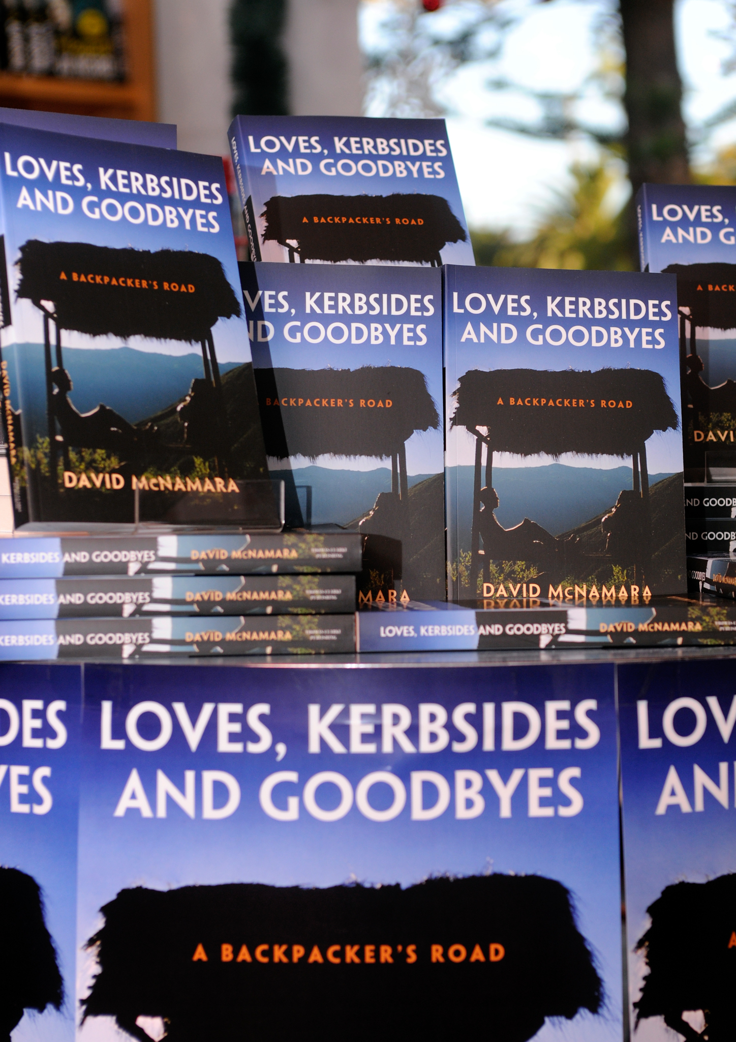 "Loves, Kerbsides & Goodbyes" ondisplay at the Book Launch