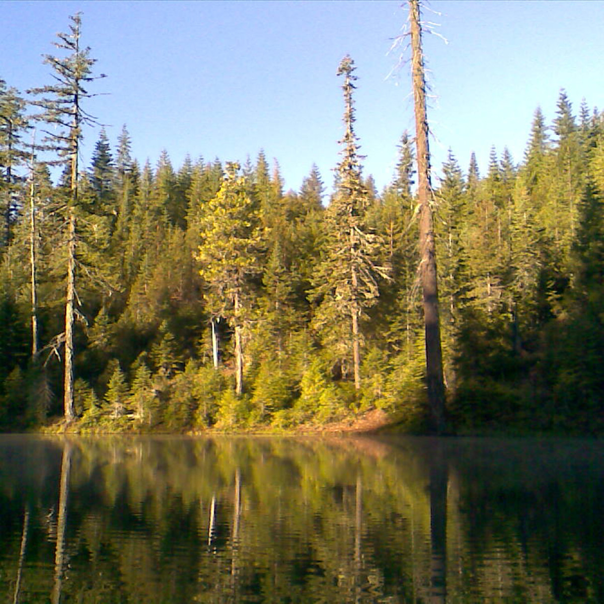 Clouds Build Over The Mendocino National Forest Photos Diagrams