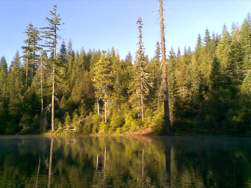 Night's Camp in Mendocino National Forest David McNamara