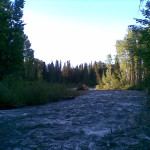 View From Night’s Camp Along the Salmon River