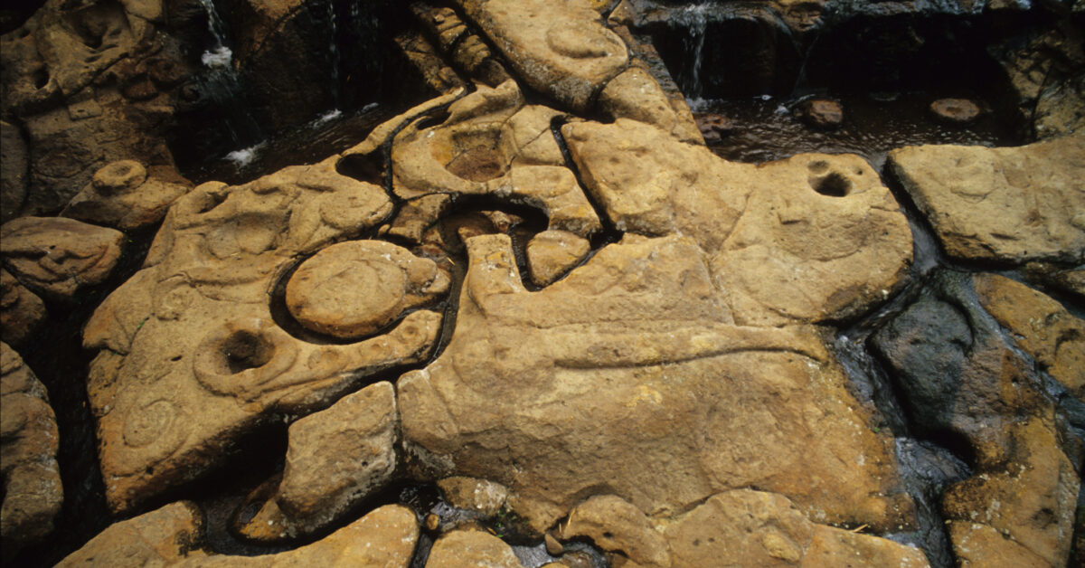 Ancient Irrigation David McNamara