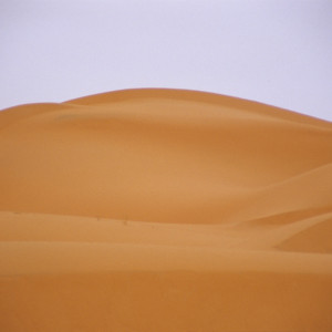 Edge of the Sahara