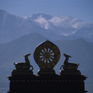 Lhasa Monestary Adoration