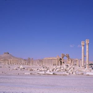 Palmerya Ruins