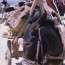 Pack Donkey at Kashgar Markets