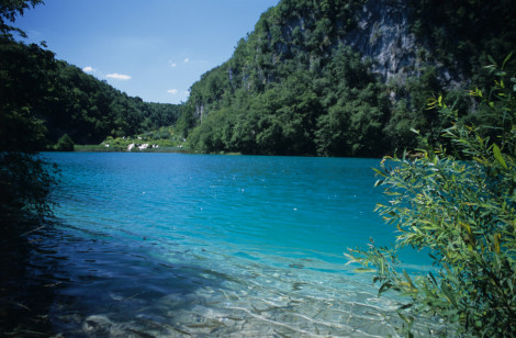 Shores of Plitvice Lakes
