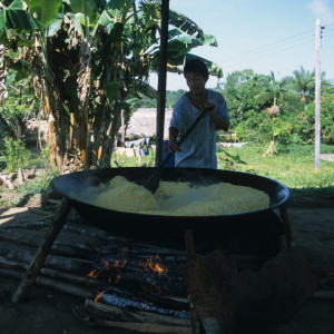 Cooking Manioc