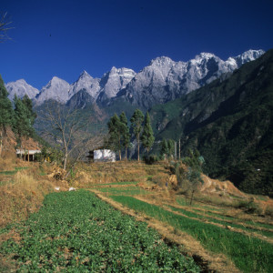 Farming on Tiger Leaping Gorge