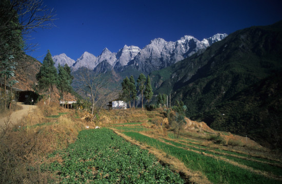 Farming on Tiger Leaping Gorge