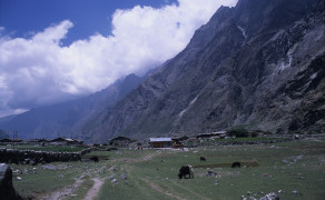 Langtang Valley Settlement