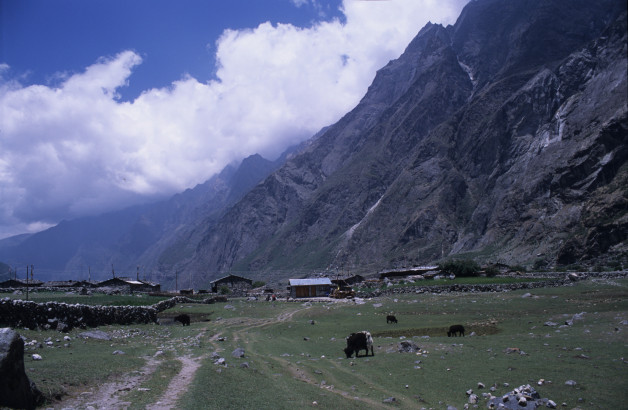 High Valley Langtang Settlement