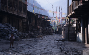 Street View of Langtang Village