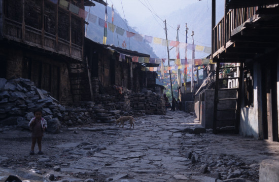 Street View of Langtang Village