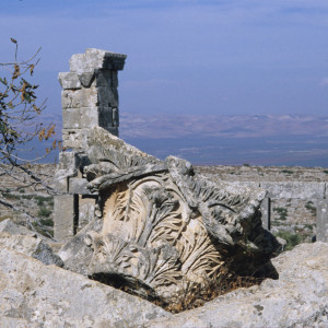 Ruins Surrounding St Simeon