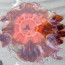 Irish Sea Jellyfish