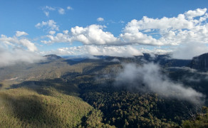 In the Clouds at the Blue Mountains