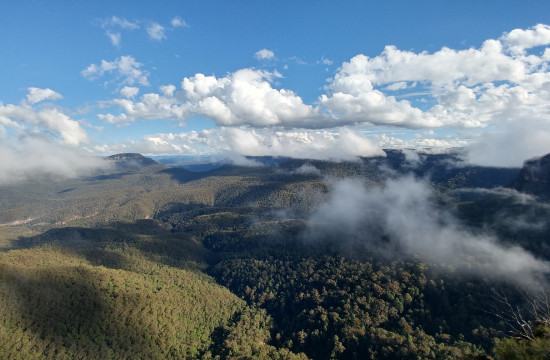In the Clouds at the Blue Mountains