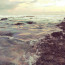 Waves Over Reef at West White Beach