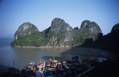 Harbour in Harlong Bay