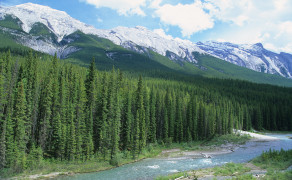 High Trail on Banff Hike