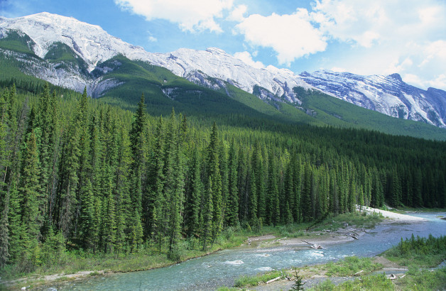 High Trail on Banff Hike