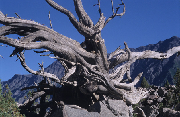 Wood Crucifix on Rush Phari Trek