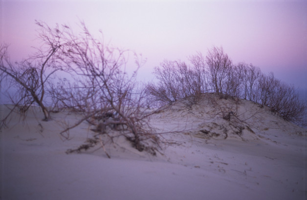 Sunset Sand Dunes on the Curonian Spit