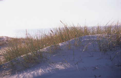 Curonian Spit Sand Dune