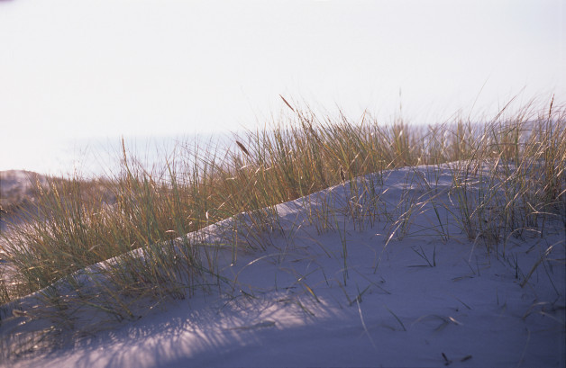 Sand Dune on the Curonian Spit