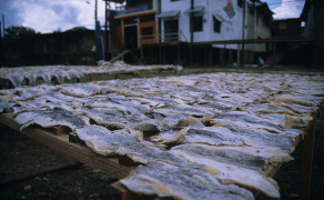 Drying Fish