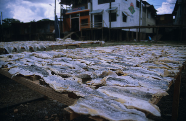 Drying Fish in Leticia