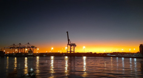 Fremantle’s Brontosaurus