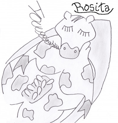 Rosita - The Argentinean Heifer