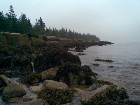 Maine’s Coastline