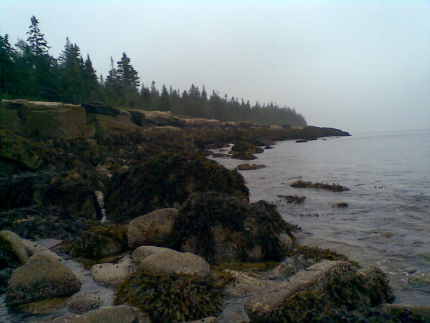 Maine's Coastline