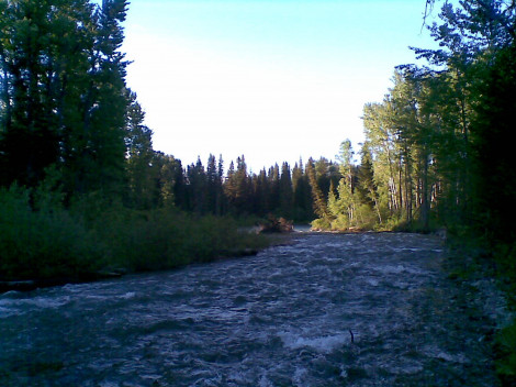 View From Night’s Camp Along the Salmon River