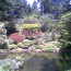 Japanese Gardens in Portland Oregon