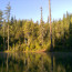 Night’s Camp in Mendocino National Forest