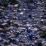 An Elevated View of Jodhpur